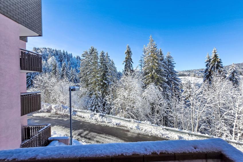 Résidence des Montagnes - foto 25