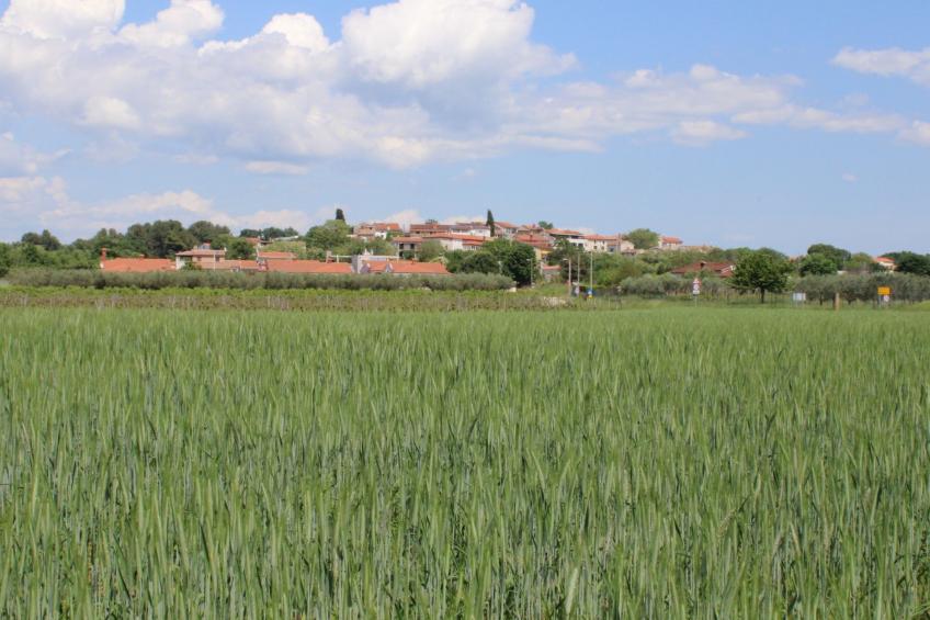 Villa Nel Rosa / HR-11037-01 - foto 31