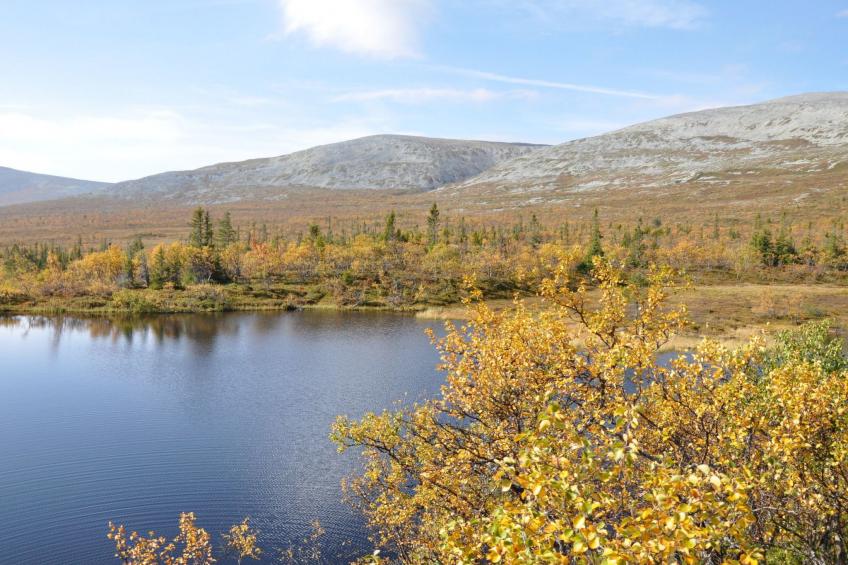Charmantes modernes Blockhaus mit Kamin - foto 3