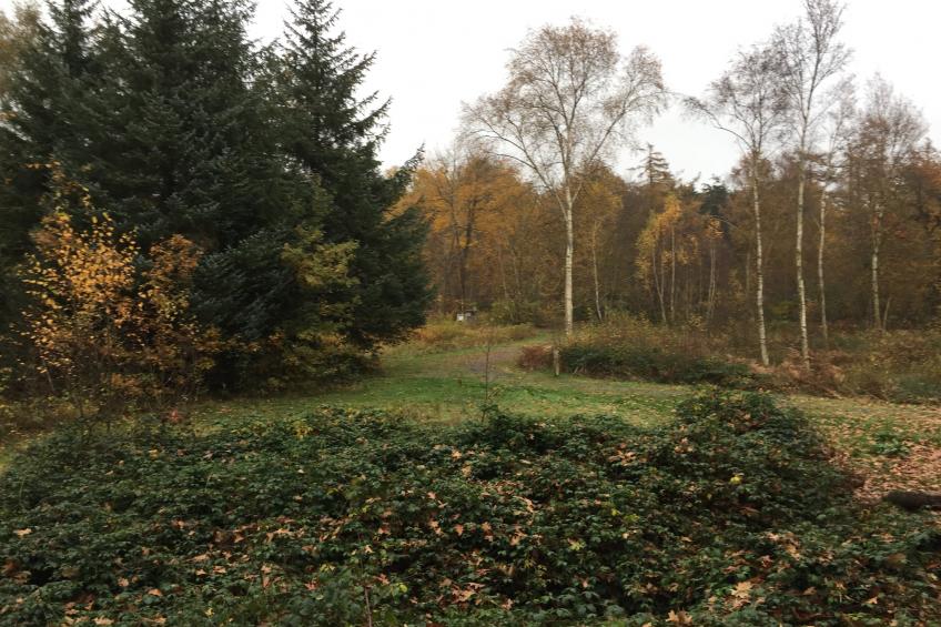 vakantiehuis romanie - foto 40