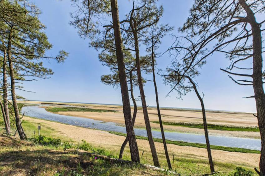 Maison à L'Aiguillon la Presqu'ile - foto 21