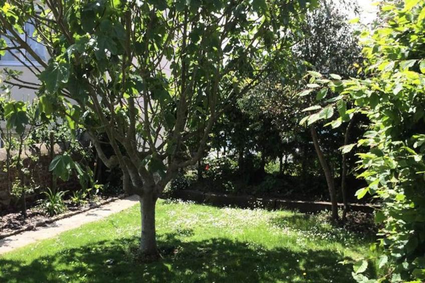 Résidence D09-tregastel - foto 11