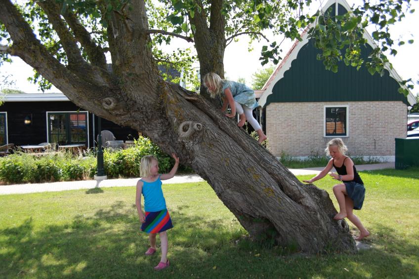 Recreatiepark Wiringherlant - foto 15