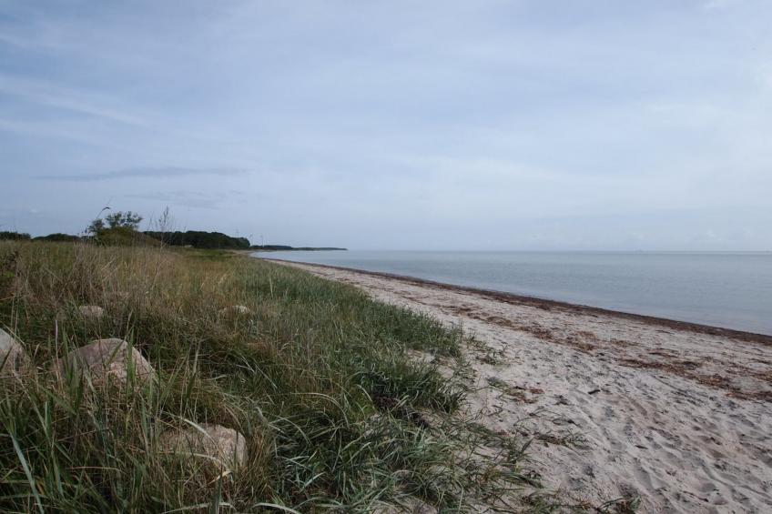 "Joran" - 120m from the sea in Funen - foto 33