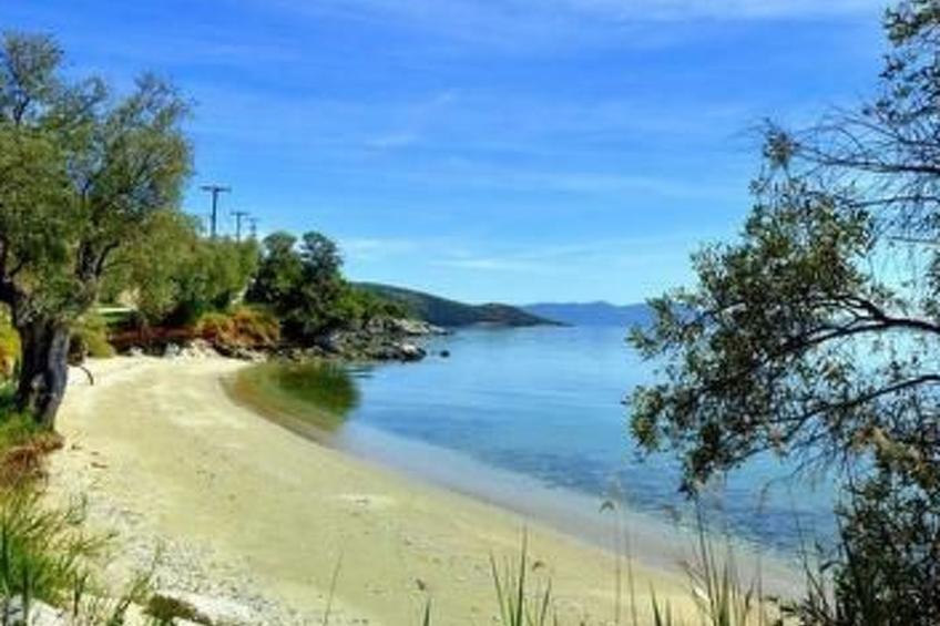 Anthyllion Villa Pelion mit Meerblick Anemone - foto 7