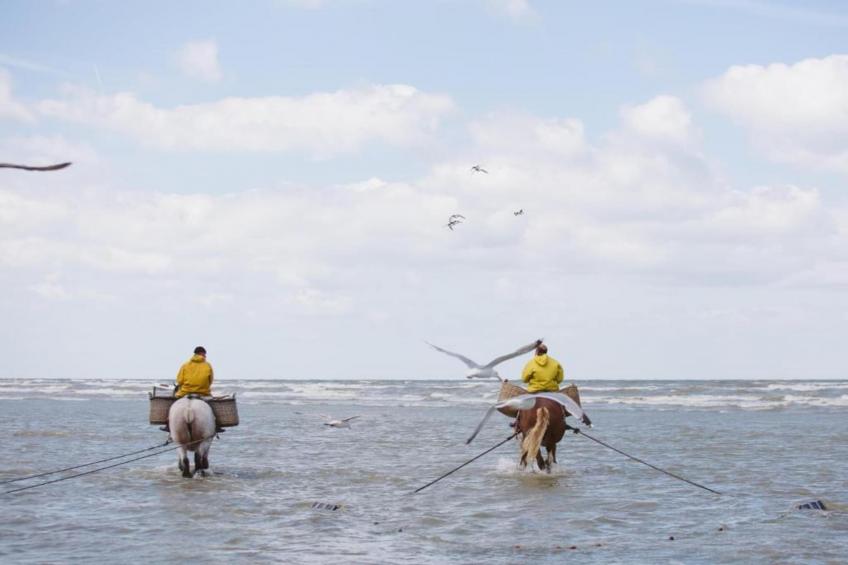 PLAZA A1/A1B01 - foto 36