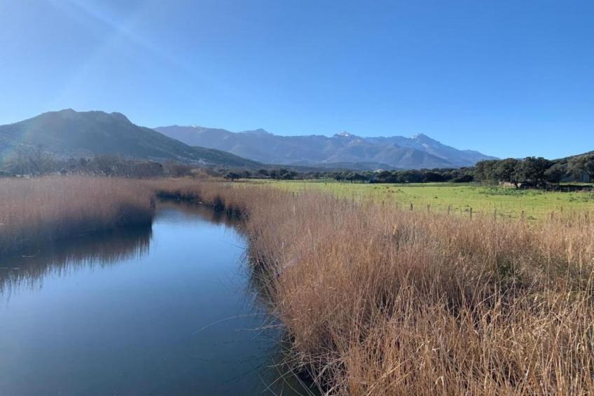 Résidence-Club les Villas Bel Godère - foto 24