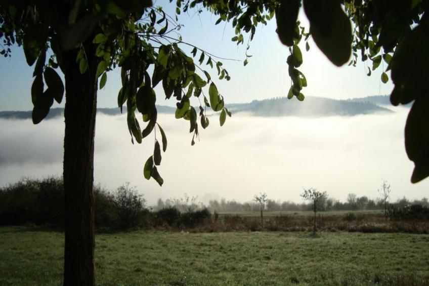 Morsbacher Hof III - foto 37
