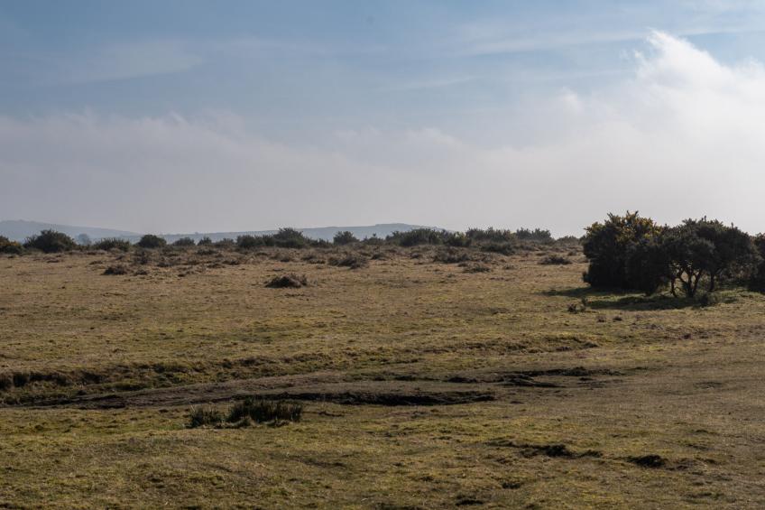 Trippet Cottage at Bodmin Moor - foto 3