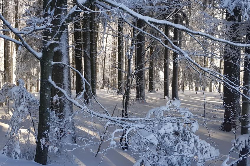 Charmante Wohnung in Langfurth mit Kleinem Balkon - foto 12