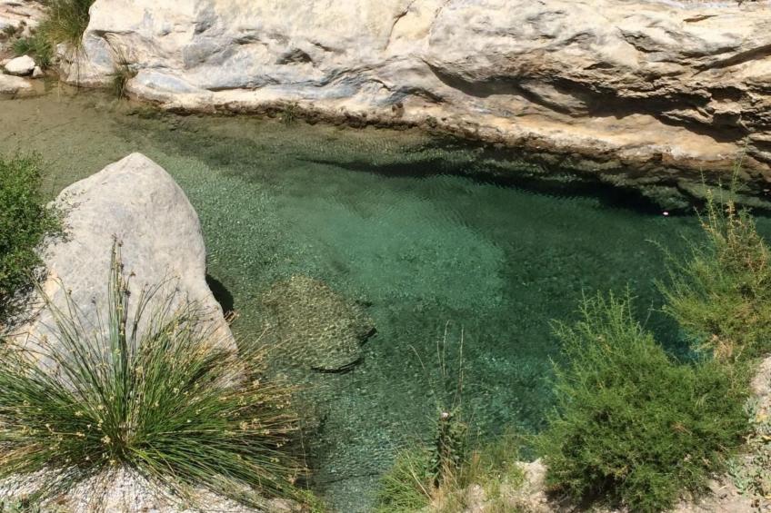 Gemütliches Ferienhaus in Tíjola mit Grill, Garten und Terrasse - foto 28