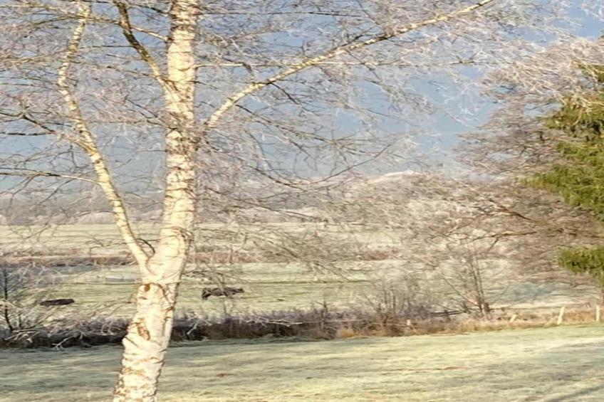 Le Gîte du Petit Culot - foto 36