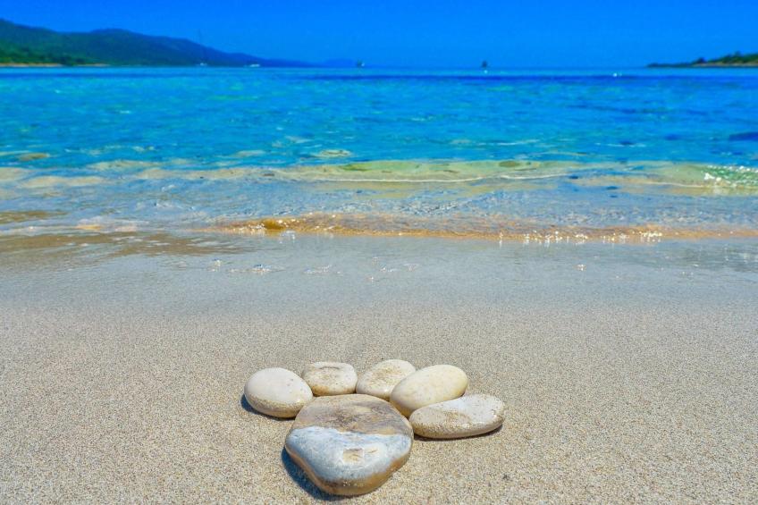 "Sakarun" mit Blick auf das Wasser - foto 44