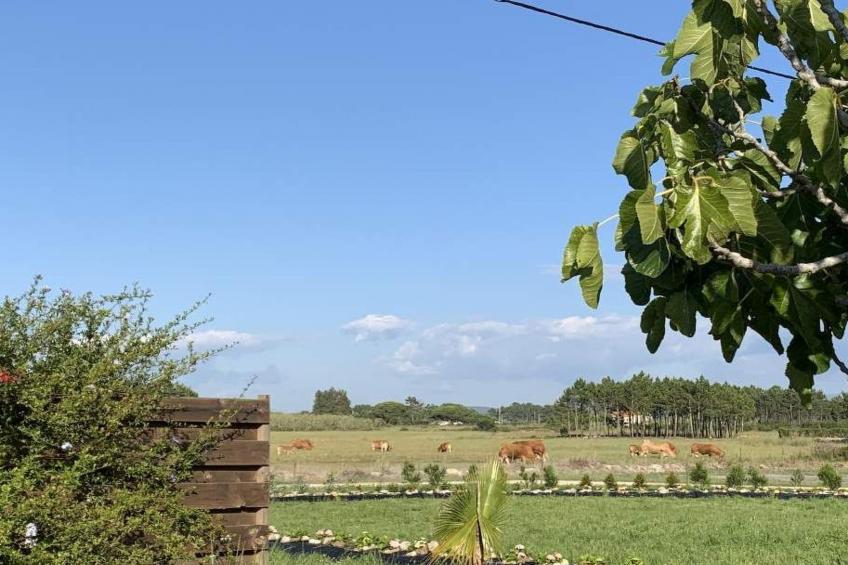 Schönes Landhaus mit Tauchbecken, Strand 3km - foto 22