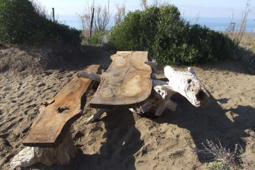 'Gardenia Eiche - foto 30