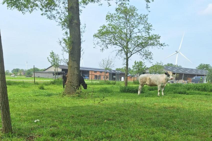 De Ree en de Specht - foto 14