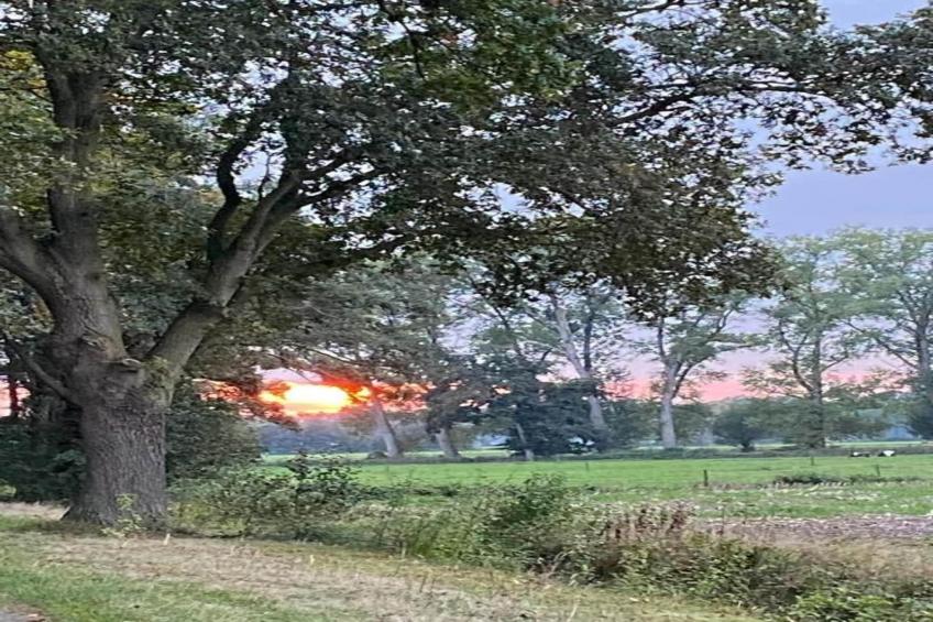 Vakantiepark De Lochemse Berg 2 - foto 23