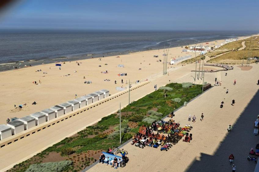 BRUYERES / 1 - foto 24