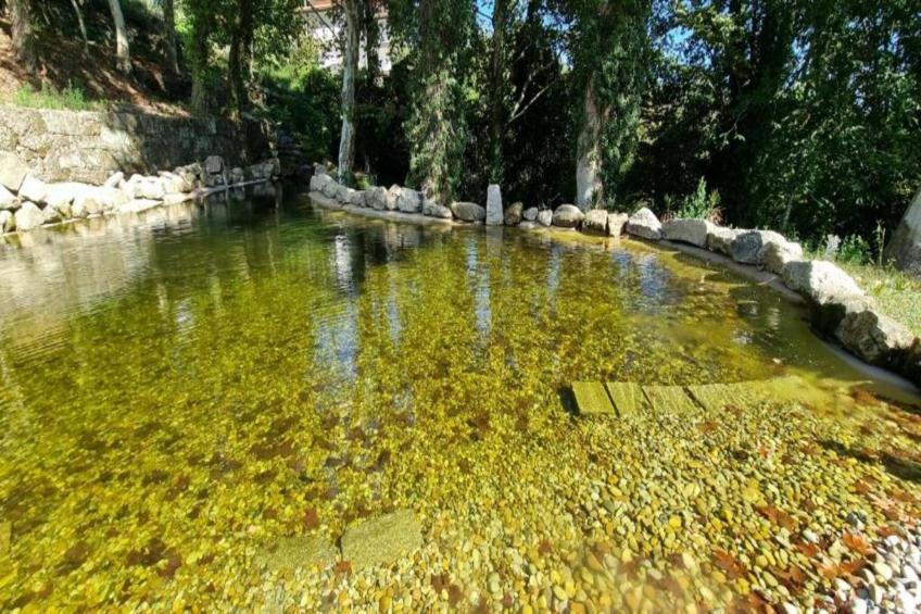 Casa das Laranjeiras - foto 23