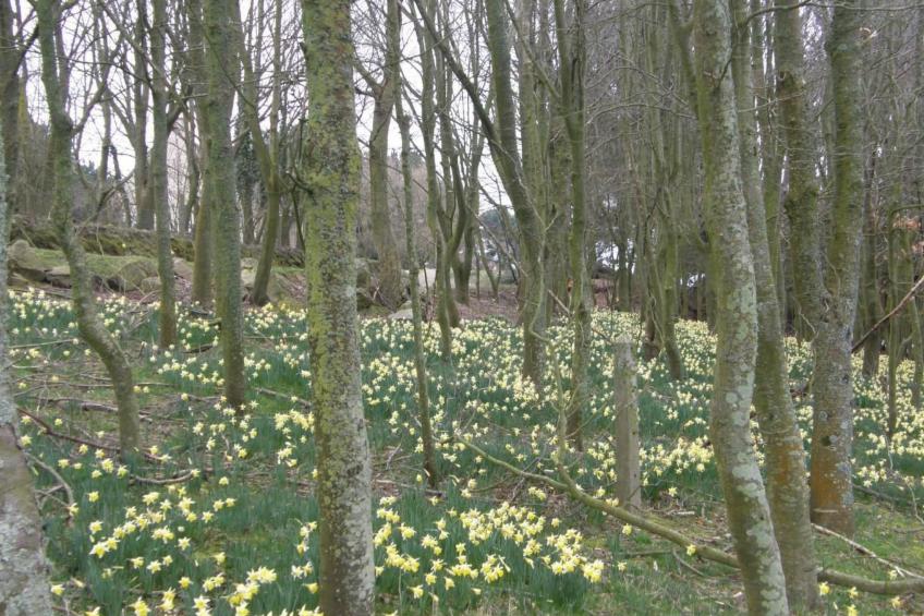 "Tromeal Lasalle" blick auf das Meer. Mit 4 Sternen klassifiziert - foto 29