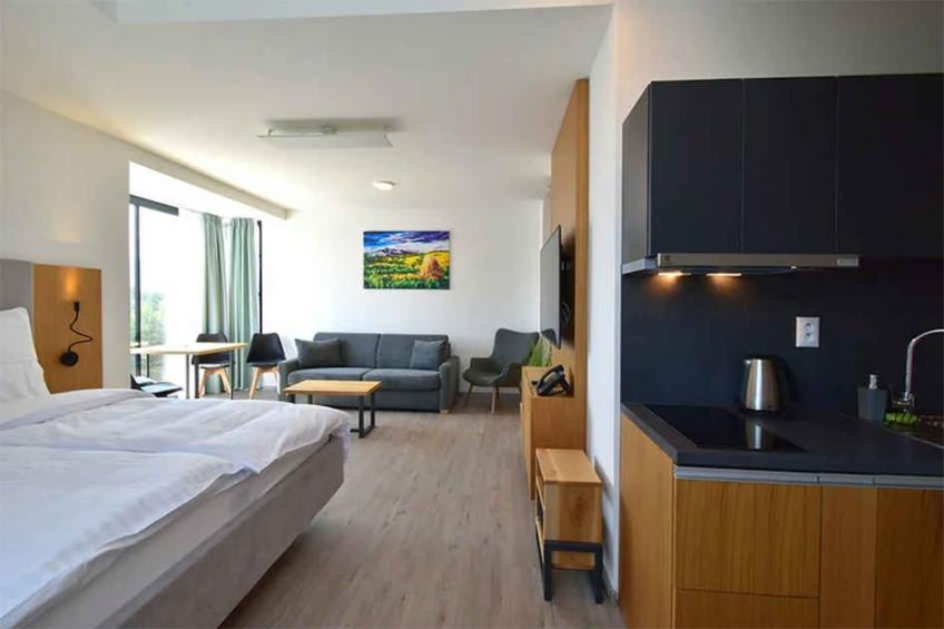 Vakantiewoning met wellnessgedeelte - VW-JMKDV - foto 17