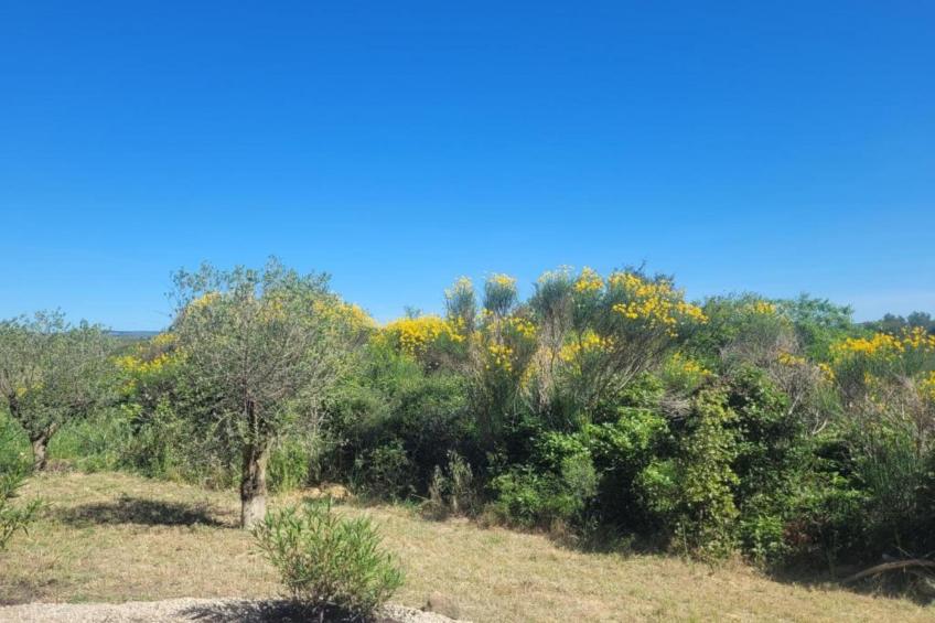 Villa Vignes et Bambous - foto 29