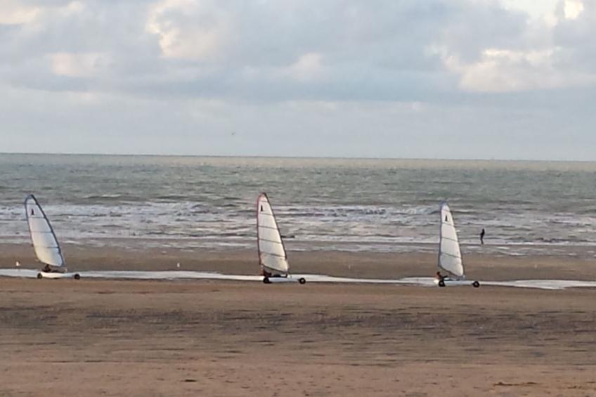 Wohnung les Althéas in Villers-sur-Mer - foto 16