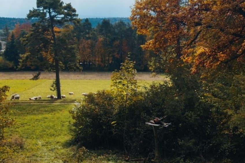 Waldhaus auf Randen - foto 14