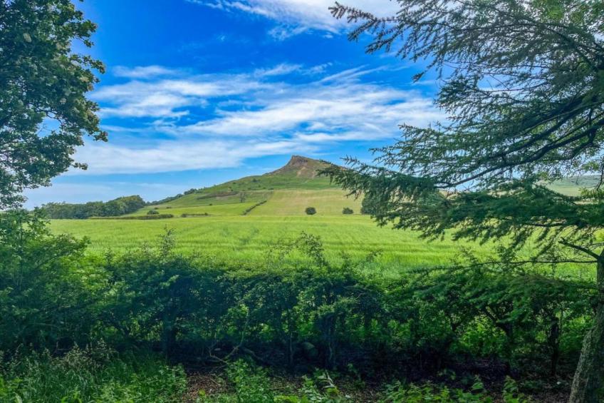 Ingleby Manor - Courtyard Cottage - foto 29