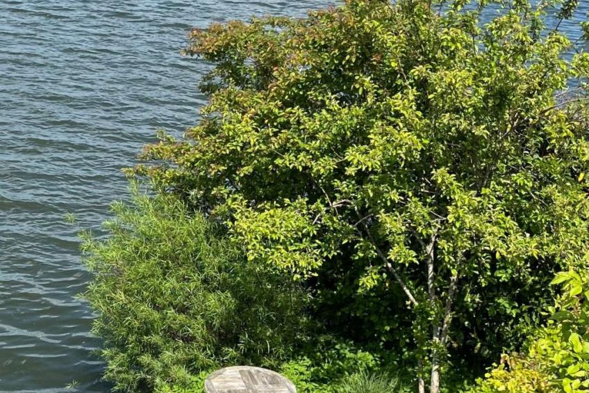 Übernachten im schönen Friesland - foto 5