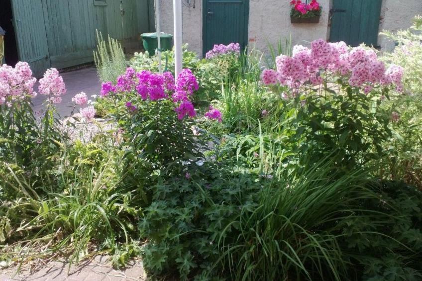 Am Apothekerberg - foto 28