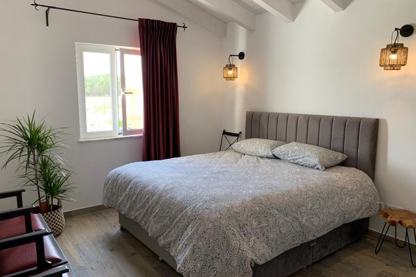 auf dem Lande in der Nähe des Strandes - foto 3