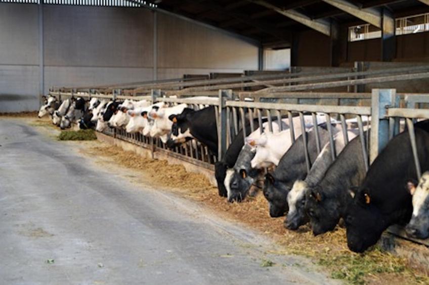 Rozenberghoeve - foto 32