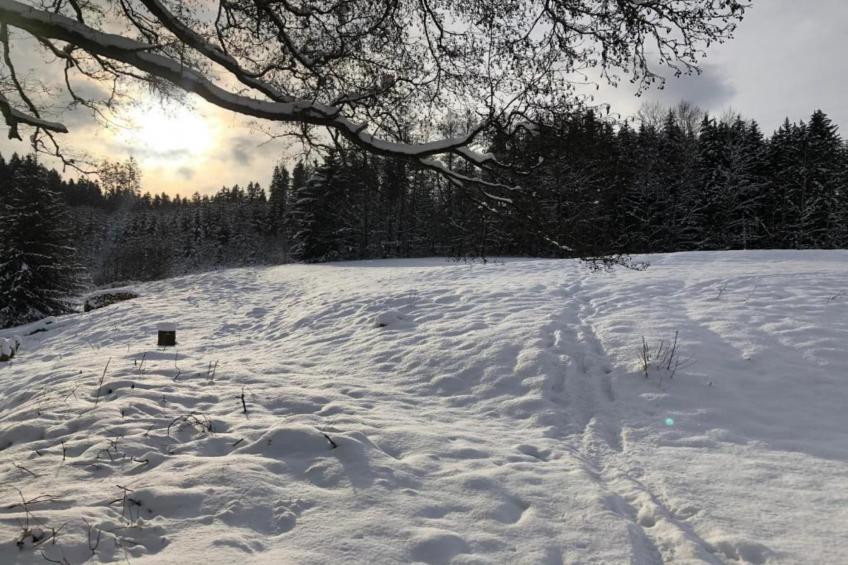 Apartament Nemojov A - foto 32