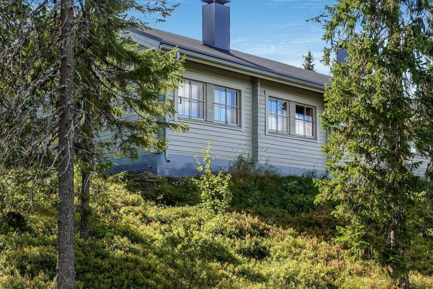 Lupposyöte b1 - foto 5