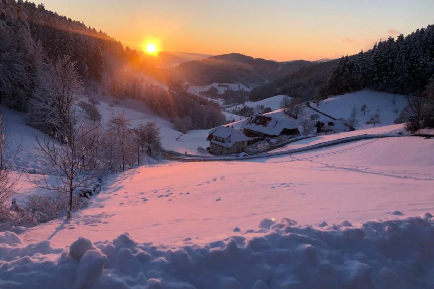 FeWo mit Whirlpool und Infrarotsauna - foto 40