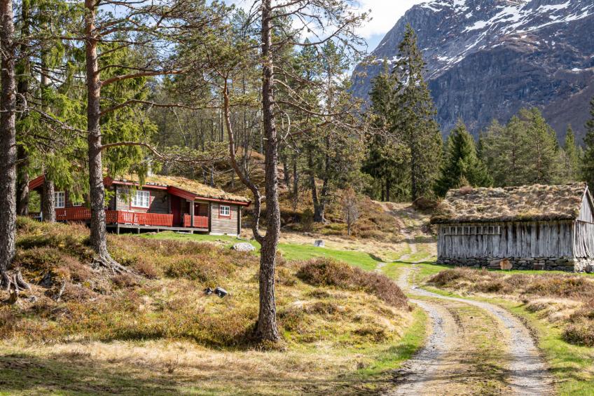 Fjellbris (FJS106) - foto 31