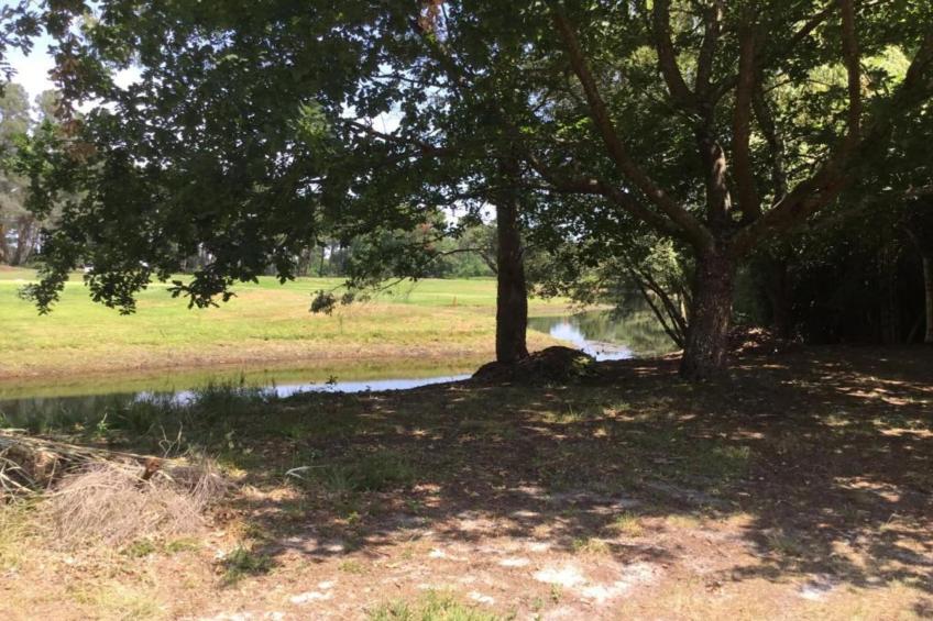 Les Greens du Bassin - foto 29