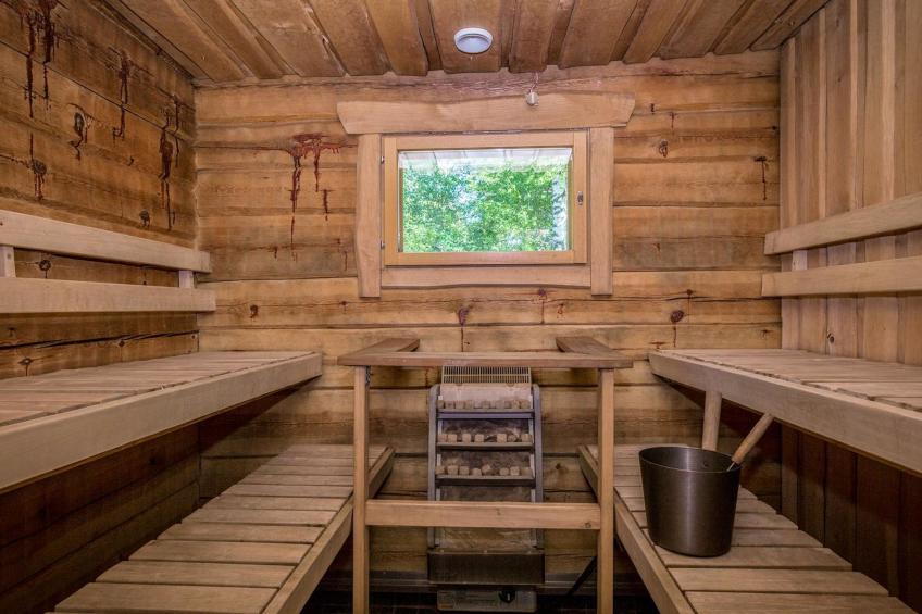 Koivuniemen rouva - foto 17