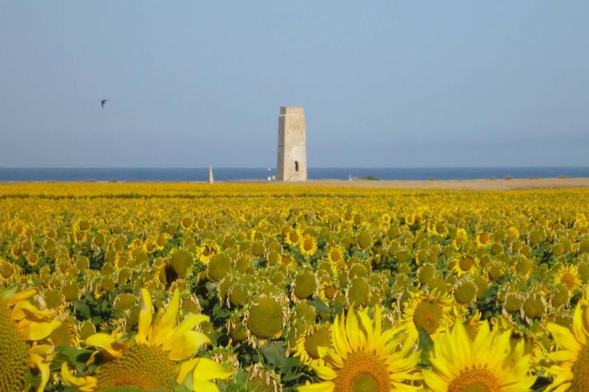 5024 -+34672427629 - foto 24