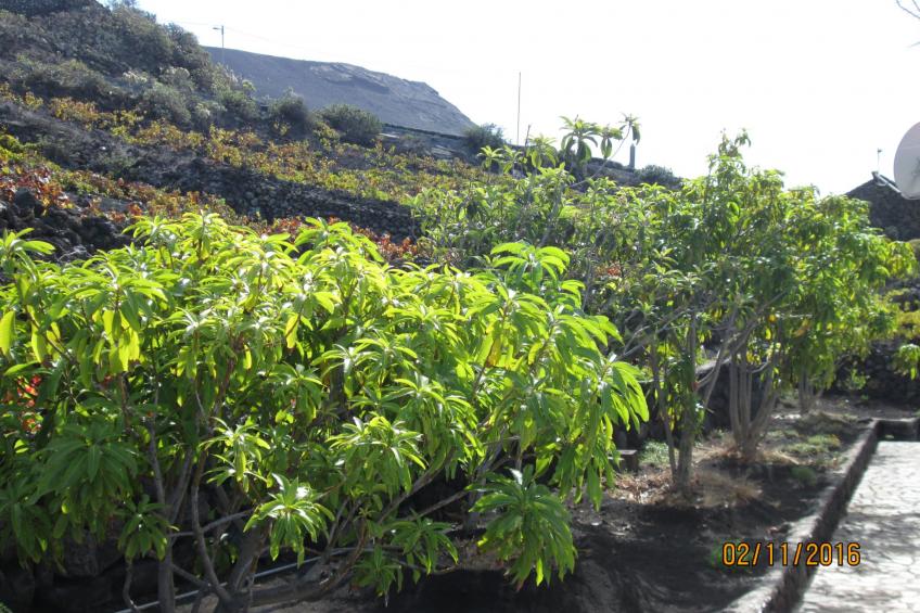 mit Garten und wunderbarer Aussicht - foto 13