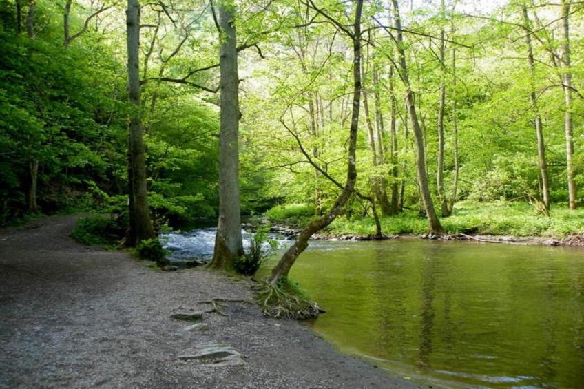 Heiderhof - Double Room - foto 8