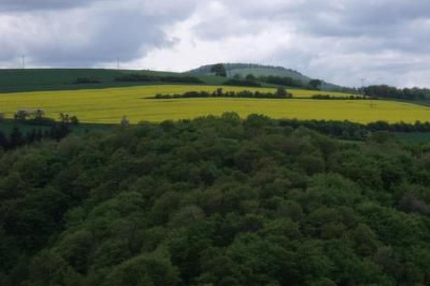 Am Waldrand - foto 35