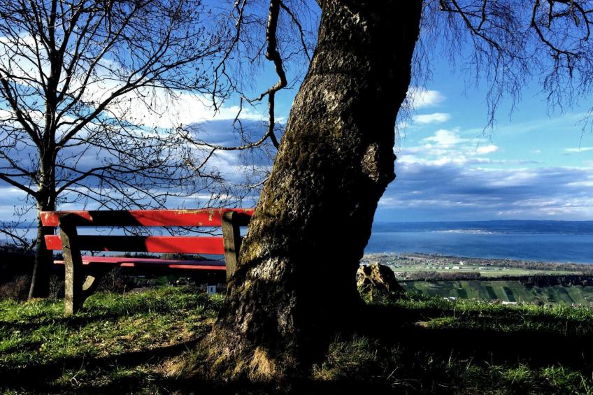 See in Sicht - foto 31