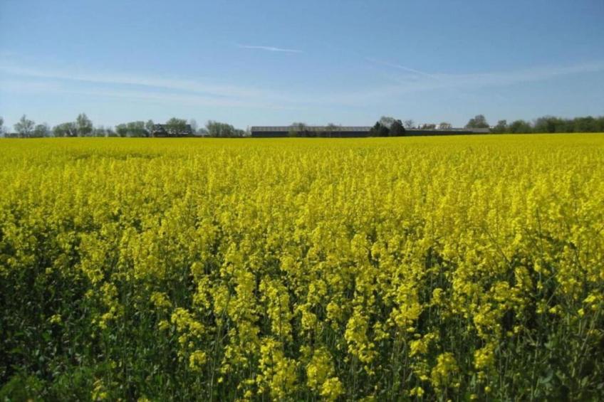 Fichtenhof - foto 26