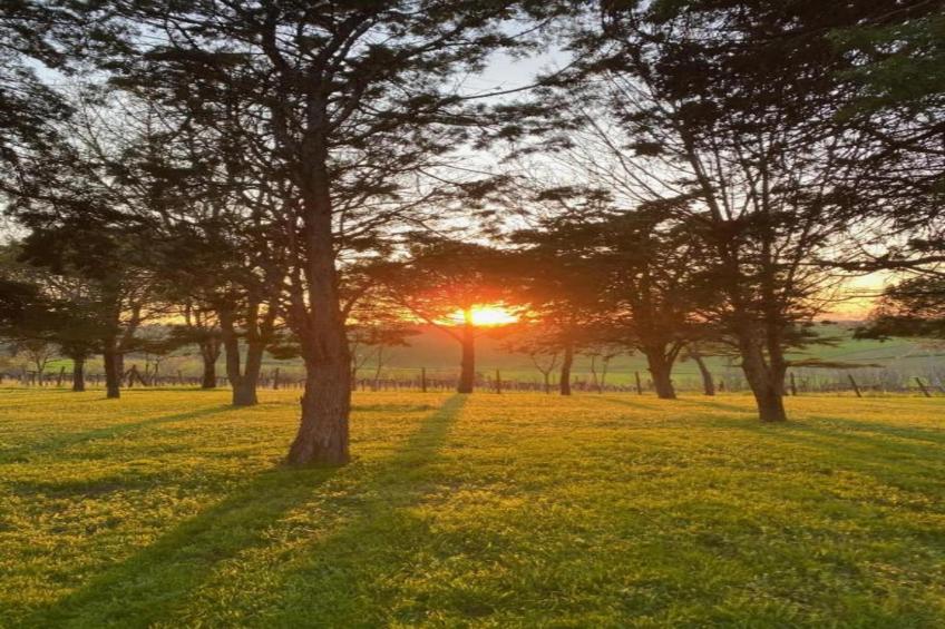 Fra Lorenzo - foto 36