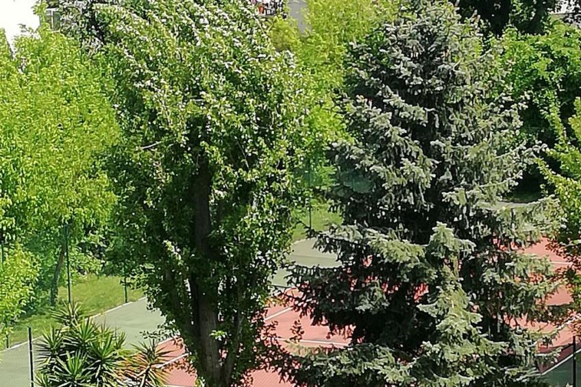 Gemütliche Wohnung, 5 Minuten vom Strand entfernt - foto 12