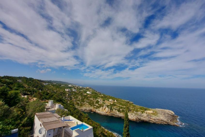 Girasoli in Tricase Porto - foto 63