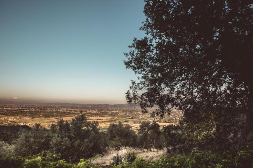 Partitoio Panorama - foto 40