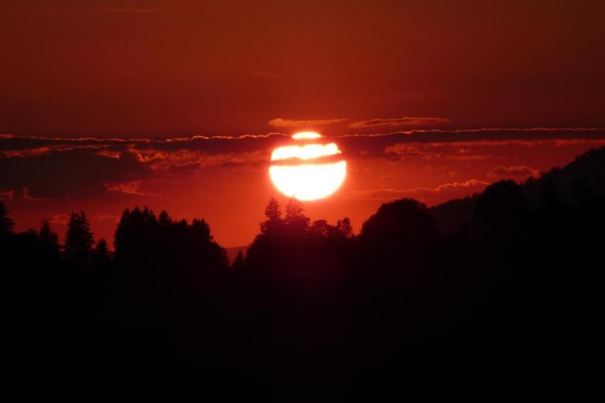 Bauernhof obere Fraumatt - foto 11